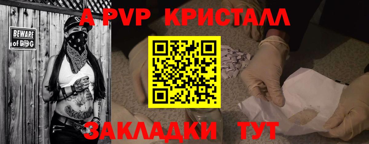 Кингисепп  А ПВП крисы CK  Alfa_PVP СК КРИС  Вход с VPN 