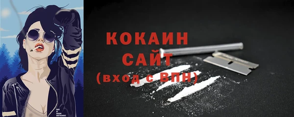 кокс Инсар