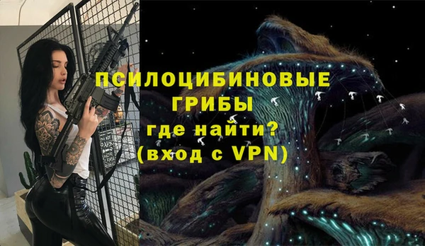кокс Инсар