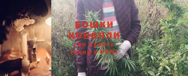 кристаллы Инта