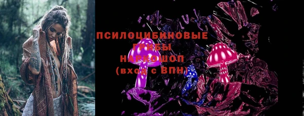 кокс Инсар