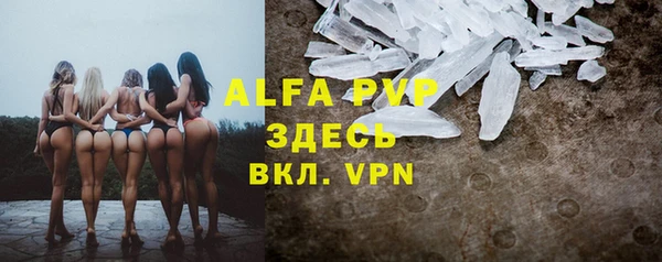 стаф Иннополис