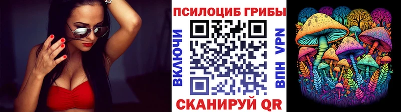 закладки  Кингисепп  Псилоцибиновые грибы прущие грибы 
