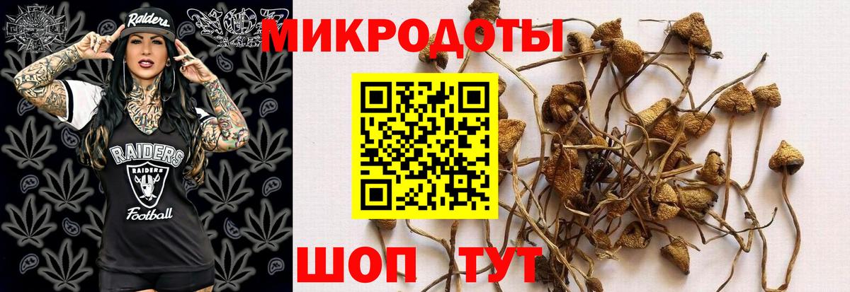 Псилоцибиновые грибы мицелий  Галлюциногенные грибы прущие грибы  Вход с VPN  Кингисепп 